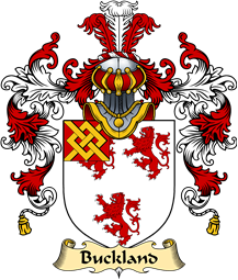 English Family Coat of Arms (v.25) Buckland