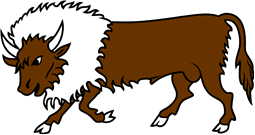 Bison