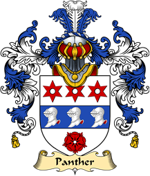 Scottish Family Coat of Arms (v.25) Panther