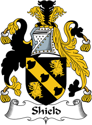 English Coat of Arms for the family Shield