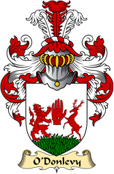 Irish Family Coat of Arms (v.23) for O