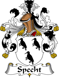 German Wappen Coat of Arms for Specht