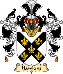 Irish Family Coat of Arms (v.25a) Hawkins or Haughan