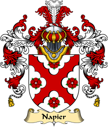 Scottish Family Coat of Arms (v.25) Napier