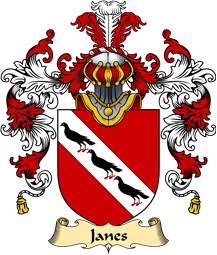 Irish Family Coat of Arms (v.25a) Janes or Janns
