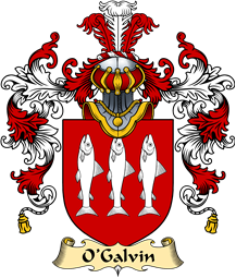 Irish Family Coat of Arms (v.25a) O