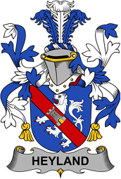 Irish Coat of Arms for Heyland