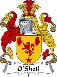 Irish Coat of Arms for O