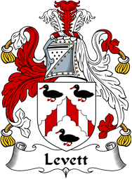 Irish Coat of Arms for Levett or Lyvet