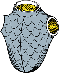 Brigandine, or Habergon