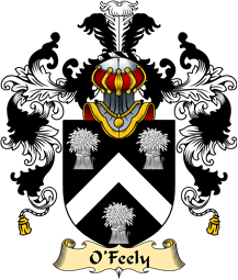 Irish Family Coat of Arms (v.25a) O