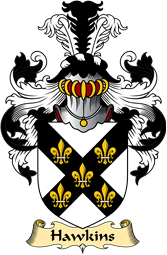 Irish Family Coat of Arms (v.23) for Hawkins or Haughan