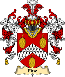 English Family Coat of Arms (v.25) Pine or Pyne