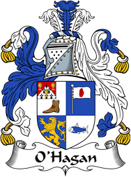 Irish Coat of Arms for O