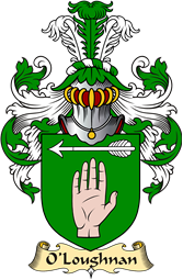 Irish Family Coat of Arms (v.23) for O