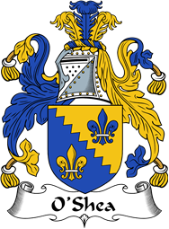 Irish Coat of Arms for O