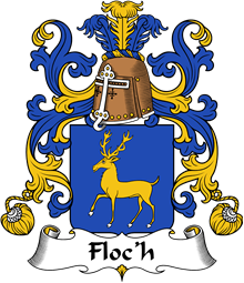 Coat of Arms from France for Floc