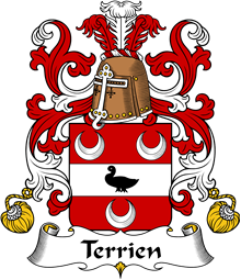 Coat of Arms from France for Terrien