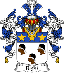 Italian Family Coat of Arms (v.25b) Righi