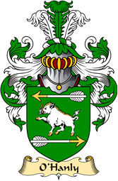 Irish Family Coat of Arms (v.23) for O