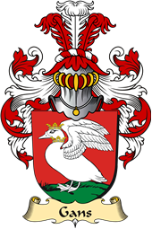 v.23 Coat of Family Arms from Germany for Gans