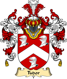 English Family Coat of Arms (v.25) Tudor