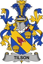 Irish Coat of Arms for Tilson