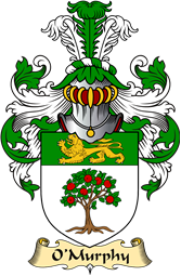 Irish Family Coat of Arms (v.23) for O