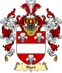 English Family Coat of Arms (v.25) Hart I