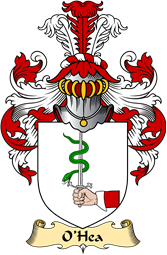 Irish Family Coat of Arms (v.23) for O