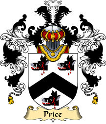 Irish Family Coat of Arms (v.25a) Price