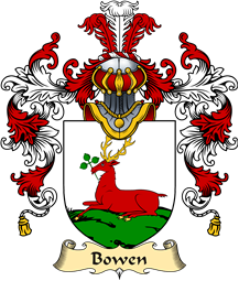 Irish Family Coat of Arms (v.25a) Bowen