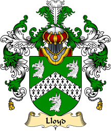Irish Family Coat of Arms (v.25a) Lloyd
