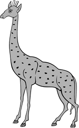 Camelopard