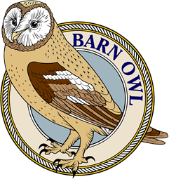 Barn Owl (Yellow)-M