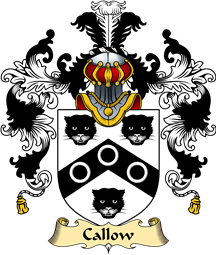 English Family Coat of Arms (v.25) Callow