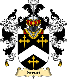 English Family Coat of Arms (v.25) Strutt