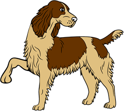 Spaniel Passant Reguardant