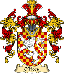 Irish Family Coat of Arms (v.25a) O