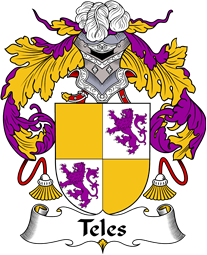 Portuguese Coat of Arms for Teles or Telo