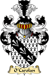 Irish Family Coat of Arms (v.23) for O