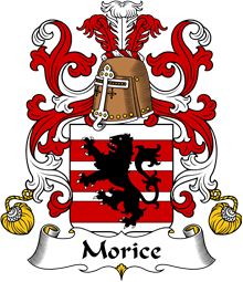 Coat of Arms from France for Morice