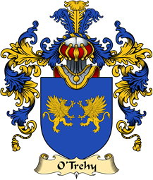 Irish Family Coat of Arms (v.25a) O