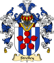 English Family Coat of Arms (v.25) Strelley