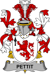 Irish Coat of Arms for Pettit