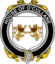 Irish Coat of Arms Badge for the O