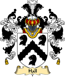 Irish Family Coat of Arms (v.25a) Hall