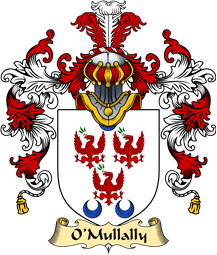 Irish Family Coat of Arms (v.25a) O