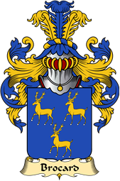 French Family Coat of Arms (v.23) for Brocard