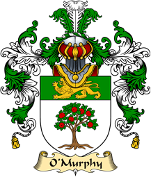 Irish Family Coat of Arms (v.25a) O